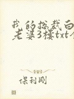我的总裁白富美老婆3楼txt全本下载