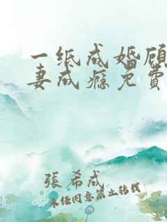 一纸成婚顾少宠妻成瘾免费阅读