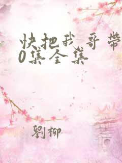 快把我哥带走30集全集