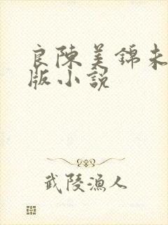良陈美锦未删减版小说
