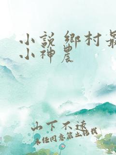 小说 乡村最强小神农