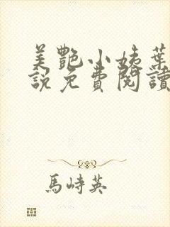 美艳小姨叶凡小说免费阅读