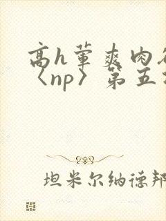 高h荤爽肉欲文〈np〉第五次