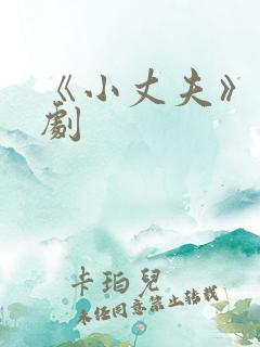 《小丈夫》电视剧