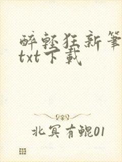 醉轻狂新笔趣阁txt下载