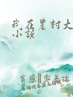 我在农村大妈们小说