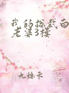 我的总裁白富美老婆3楼