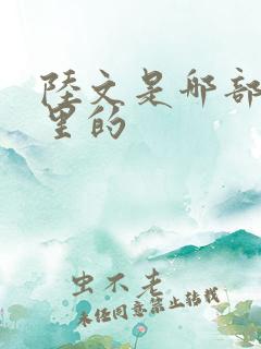 陆文是哪部小说里的