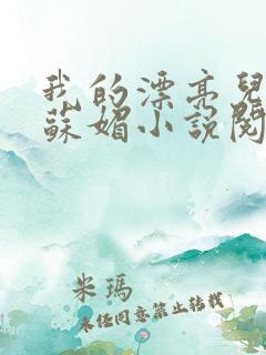 我的漂亮儿媳妇苏媚小说阅读免费