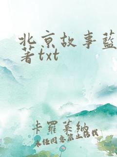 北京故事蓝宇原著txt