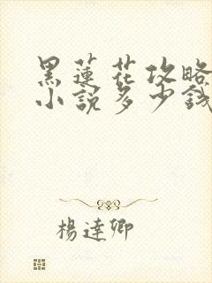 黑莲花攻略手册小说多少钱