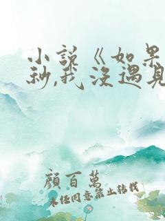 小说《如果这一秒,我没遇见你》