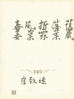 春风折落旧蔷薇姜崇霖叶岁宁全本阅读