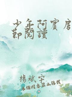 少年阿宾房东分节阅读