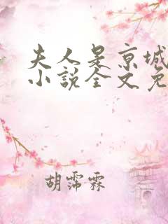 夫人是京城一霸小说全文免费阅读