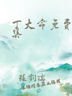 丁大命免费看全集