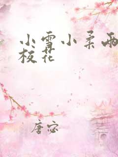 小雪小柔两个大校花