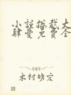 小说总裁大人放肆爱免费全本