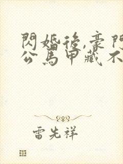 闪婚后,豪门老公马甲藏不住第三部