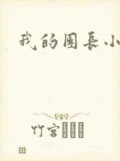 我的团长小说