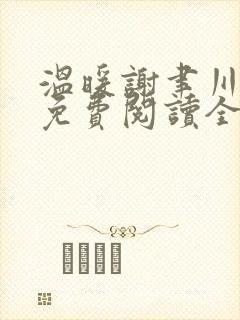温暖谢聿川小说免费阅读全文无弹窗