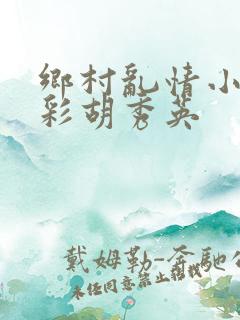 乡村乱情小雷小彩胡秀英