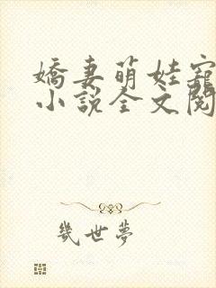 娇妻萌娃宠上天小说全文阅读免费