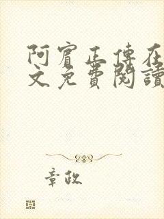 阿宾正传在线全文免费阅读无删减