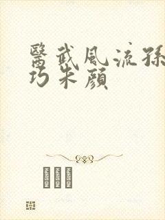 医武风流孙哲叶巧朱颜