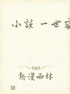 小说 一世容安