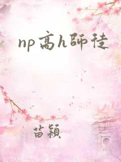 np高h师徒
