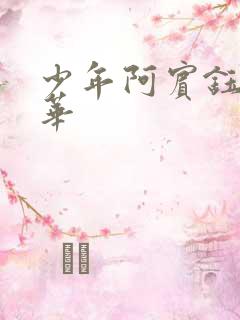 少年阿宾钰慧淑华
