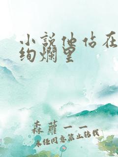小说他站在夏花绚烂里