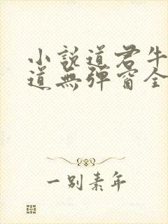 小说道君牛有_道无弹窗全文免费阅读