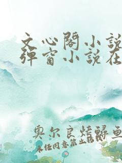 文心阁小说_无弹窗小说在线免费阅读