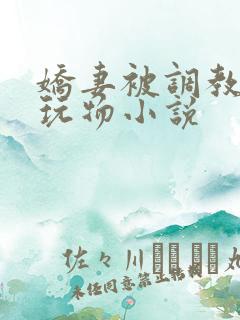 娇妻被调教沦为玩物小说