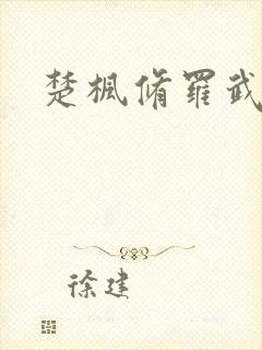 楚枫修罗武神