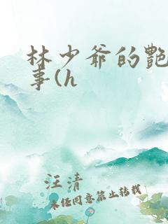 林少爷的艳情记事(h