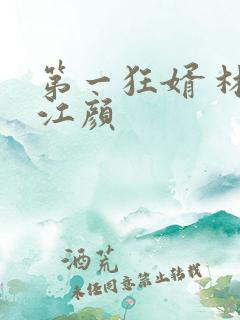 第一狂婿 林羽江颜