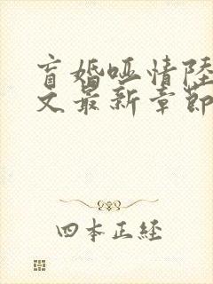 盲婚哑情陆彻全文最新章节免费阅读