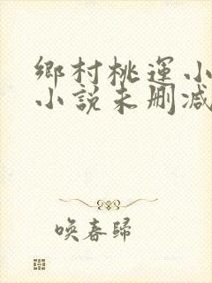 乡村桃运小神医小说未删减版