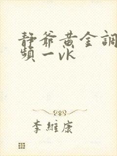 静爷黄金调教视频一vk