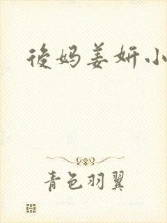 后妈姜妍小说