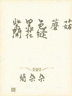 紫黑色蘑菇头顶开花缝