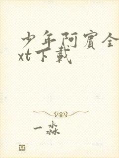 少年阿宾全文txt下载