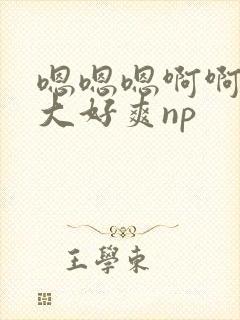 嗯嗯嗯啊啊啊好大好爽np