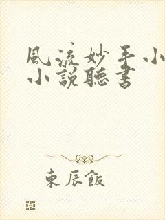 风流妙手小村医小说听书