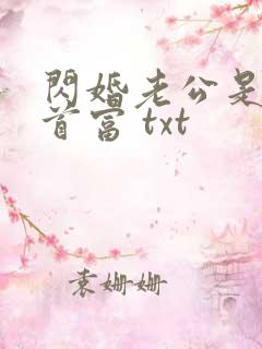 闪婚老公是千亿首富 txt