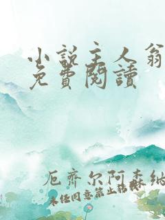 小说主人翁李霖免费阅读