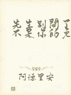 先生别闹了新娘不是你的免费观看全集